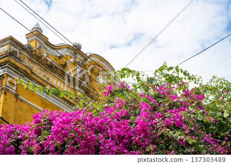 越南會安古城街景 137303489