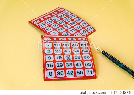 Red Bingo card game on color background. 137303876