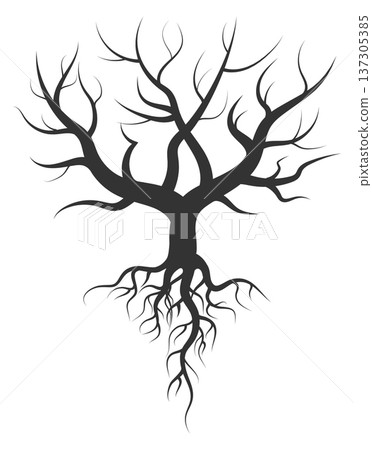 Old oak black silhouette. Tree branch crown shape Old oak black silhouette. Tree branch crown shape 137305385
