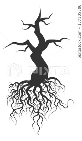 Tree roots silhouette. Dry trunk. Woodland botany Tree roots silhouette. Dry trunk. Woodland botany 137305386