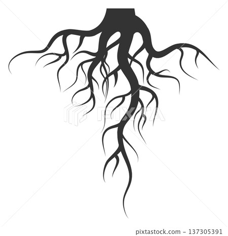 Garden flora element. Ground roots black silhouette 137305391