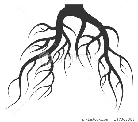 Underground roots. Forest plant part black shape Underground roots. Forest plant part black shape 137305395