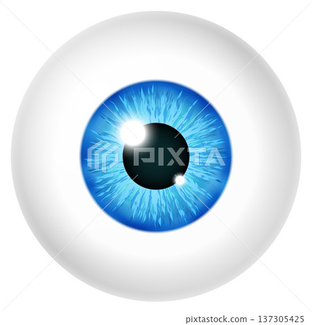 Eyeball mockup. Realistic blue pupil human eye 137305425