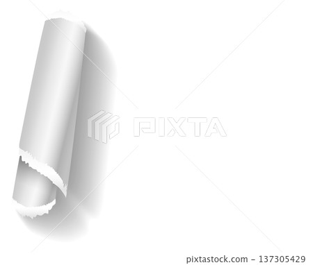 Paper stripe rolled with torn edge realistic shadow 137305429