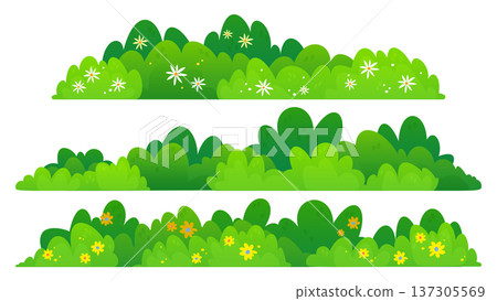 Green bush border with flowers, landscape shrub 137305569