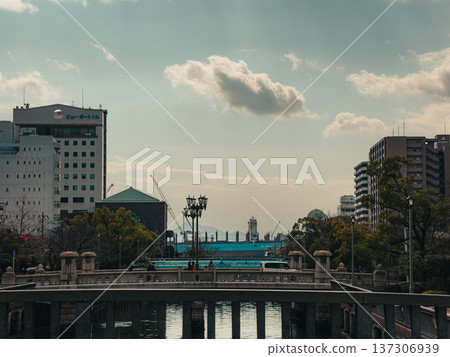 酒井市 137306939