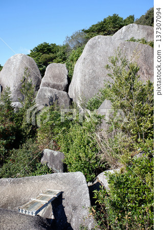 高知縣東神田場遺址、東神西巨石和千丈石道 高知縣東神田場遺址、東神西巨石和千丈石道 137307094