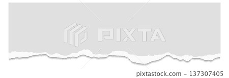 Paper scrap blank white template with damaged edge 137307405