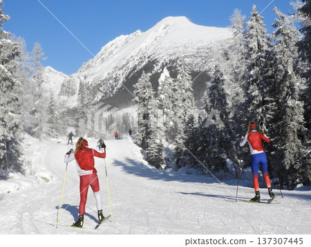 Rear view of cross-country skiers in red racing suits gliding along a snowy mountain trail 137307445