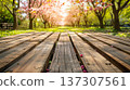 Wooden table in sakura flower park with garden bokeh background for outdoor product display mockup 137307561