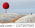 Unique Red Sphere on a Surreal Landscape Illustrating an Abstract Countryside Scene in Fantasy Art 137307565