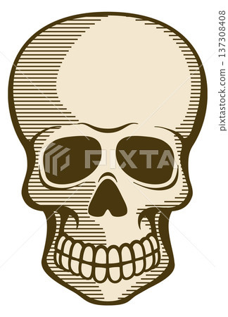 Skull engraving. Dead head. Death color icon 137308408