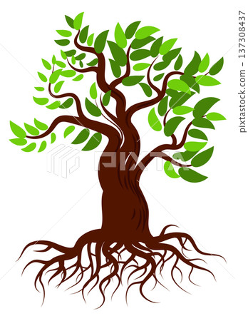 Summer green tree color icon. Garden plant 137308437