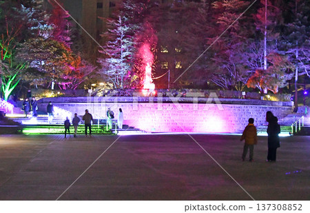 Sendai, the City of Trees, has launched a new winter illumination event, Sendai Bright Nights Story, Kotodai-ko Sendai, the City of Trees, has launched a new winter illumination event, Sendai Bright Nights Story, Kotodai-ko 137308852