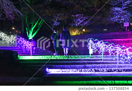 有「樹之城」美譽的仙台市推出了全新的冬季燈光秀活動-「仙台璀璨之夜故事:琴台湖」。 有「樹之城」美譽的仙台市推出了全新的冬季燈光秀活動-「仙台璀璨之夜故事:琴台湖」。 137308854