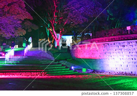 Sendai, the City of Trees, has launched a new winter illumination event, Sendai Bright Nights Story, Kotodai-ko 137308857