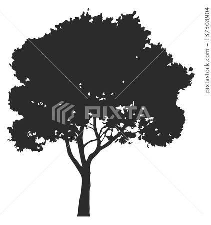 Woodland plant black silhouette. Forest tree icon 137308904