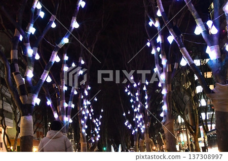 Sendai, the City of Trees, has launched a new winter illumination event, Sendai Bright Nights Story, on Jozenji Street. Sendai, the City of Trees, has launched a new winter illumination event, Sendai Bright Nights Story, on Jozenji Street. 137308997