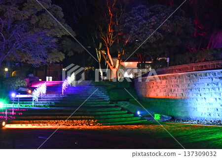 Sendai, the City of Trees, has launched a new winter illumination event, Sendai Bright Nights Story, Kotodai-ko Sendai, the City of Trees, has launched a new winter illumination event, Sendai Bright Nights Story, Kotodai-ko 137309032