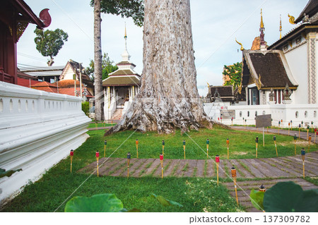 chiang mai, temple, temples 137309782