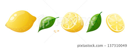 Vector set of lemon, sliced into wedges, and leaves Vector set of lemon, sliced into wedges, and leaves 137310049