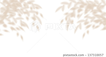Soft leaf tree shadow, flower plant cast blurred gobo. Light wall bg overlay, tropic branch delicate png. White summer decoration elements. Nature garden shades, bright sunlight texture silhouette Soft leaf tree shadow, flower plant cast blurred gobo. Light wall bg overlay, tropic branch delicate png. White summer decoration elements. Nature garden shades, bright sunlight texture silhouette 137310057