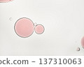 Pink oil drops floating in water forming an abstract liquid background 137310063