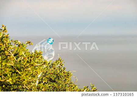 Plastic used water bottle on nature Plastic used water bottle on nature 137310165