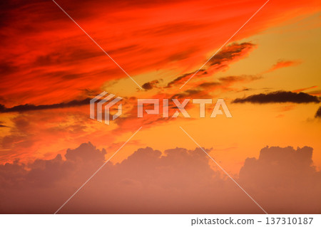 Orange sunset or sunrise 137310187