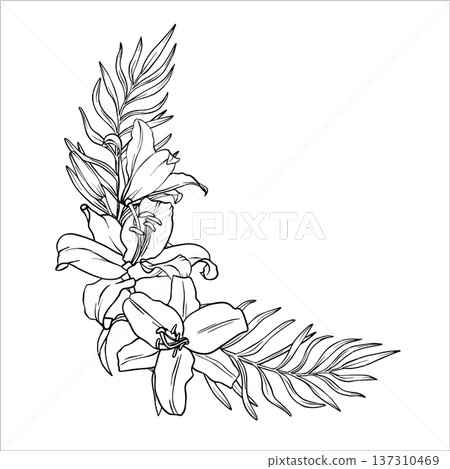 Vector Bouquet of Lilies in line art style. Botanical sketch of lily flowers and leaves. Vector illustration of Black and white flowers. Flowers drawing painted by black inks. Hand Drawn Bouquet EPS10 Vector Bouquet of Lilies in line art style. Botanical sketch of lily flowers and leaves. Vector illustration of Black and white flowers. Flowers drawing painted by black inks. Hand Drawn Bouquet EPS10 137310469