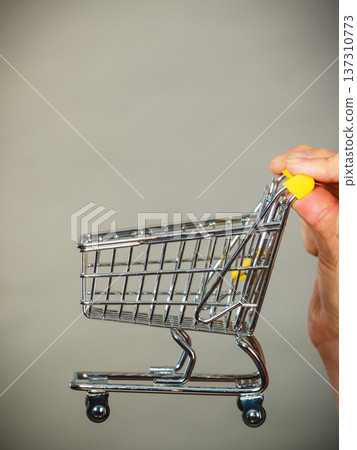 Woman hand holding small tiny shopping cart 137310773