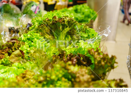 Green endive lettuce on shop shelf Green endive lettuce on shop shelf 137310845