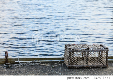 crab cage in harbor on shore crab cage in harbor on shore 137311457