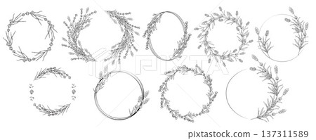 Set of black and white lavender wreaths and frames. Detailed botanical line art collection with circular borders, floral arrangements and elegant herb elements for branding design 137311589