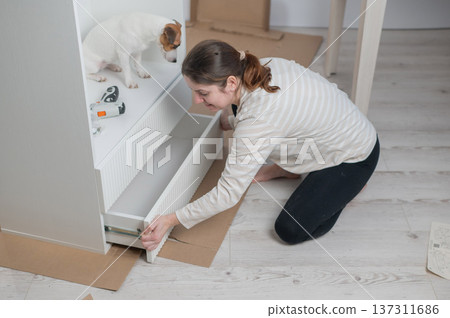 A Caucasian woman assembles furniture with her cute dog. A Caucasian woman assembles furniture with her cute dog. 137311686