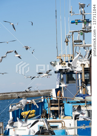 海鷗和漁船飛越銚子漁港 海鷗和漁船飛越銚子漁港 137311844