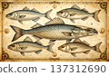This artwork displays several fish species, highlighting their shape and features. The etching is detailed, capturing marine life across various habitats. 137312690