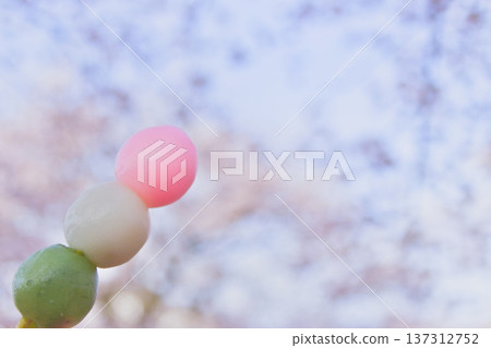 Three-colored dumplings (hanami dango) with cherry blossoms in full bloom in the background - Cherry blossom viewing image material 137312752