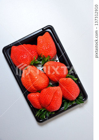 Large strawberry Yayoihime (Yayoihime grown in Saitama Prefecture) Large strawberry Yayoihime (Yayoihime grown in Saitama Prefecture) 137312910