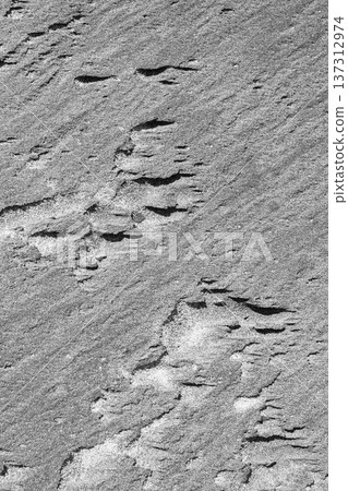 Intricate patterns form in the sand Intricate patterns form in the sand 137312974