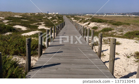 Sand dunes and Beach in Esmoriz, Ovar - Portugal Sand dunes and Beach in Esmoriz, Ovar - Portugal 137313045