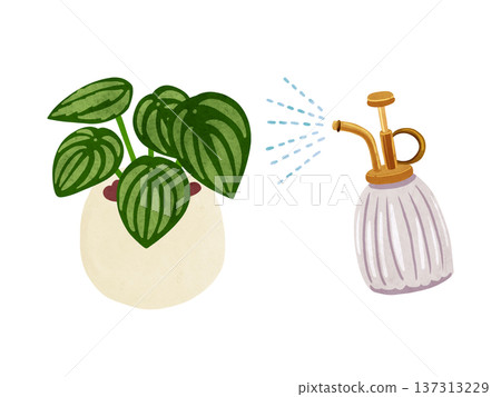 噴霧器和盆栽椒草（Peperomia sandersii）水彩手繪插圖 137313229
