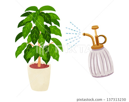 噴霧器和盆栽咖啡樹水彩手繪插圖 137313230