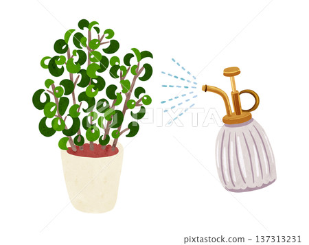 Mist spray and potted Benjamin baroque plant, watercolor hand-drawn illustration 137313231