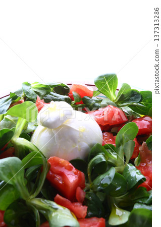 Burrata with Tomato and Avocado Salad 137313286