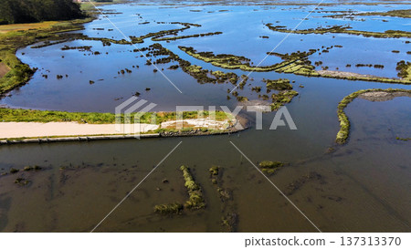 Aerial View of Ribeira das Teixugueiras Aerial View of Ribeira das Teixugueiras 137313370