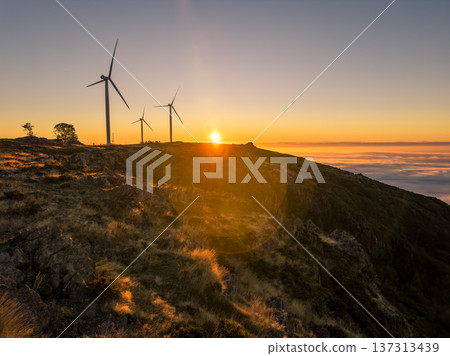 Wind turbines during sunset 137313439