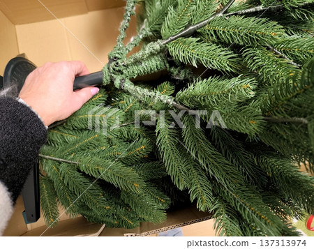 The process of assembling an artificial Christmas tree at home. 137313974