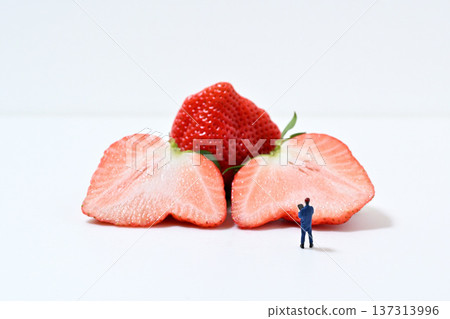 Image of checking out a large strawberry (Yayoihime from Saitama Prefecture) Image of checking out a large strawberry (Yayoihime from Saitama Prefecture) 137313996