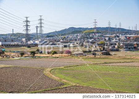 Spring rural scenery, Kyotanabe City, Kyoto Prefecture Spring rural scenery, Kyotanabe City, Kyoto Prefecture 137314025
